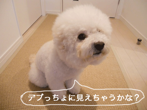 DSCN2987.gif