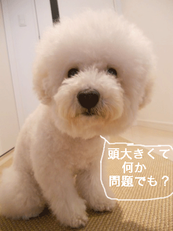 DSCN2988.gif