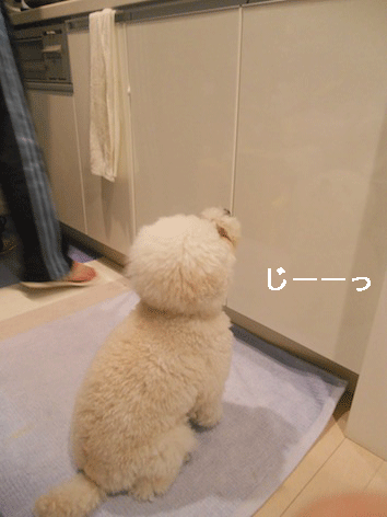 DSCN3244.gif