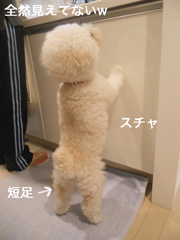 DSCN3246.gif