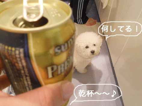 DSCN3256.gif