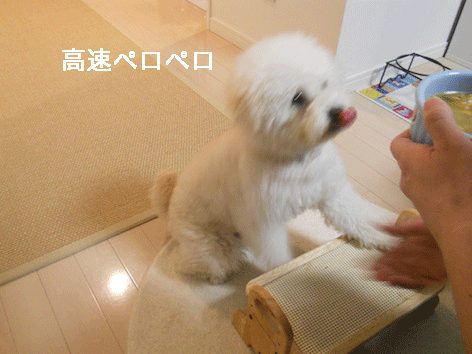 DSCN3261.gif