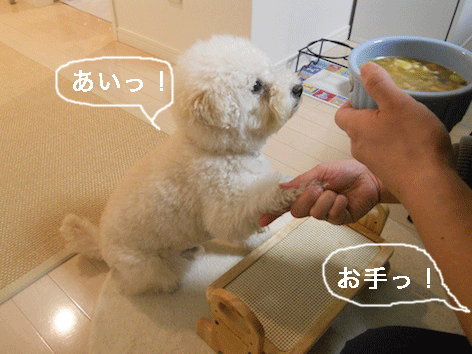 DSCN3262.gif