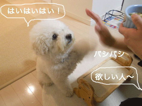 DSCN3263.gif