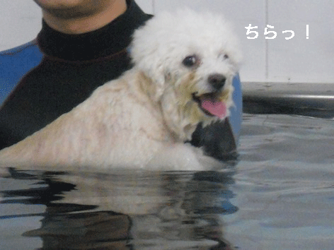 DSCN3304.gif