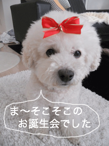 DSCN3655.gif