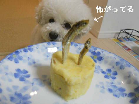 DSCN3667.gif