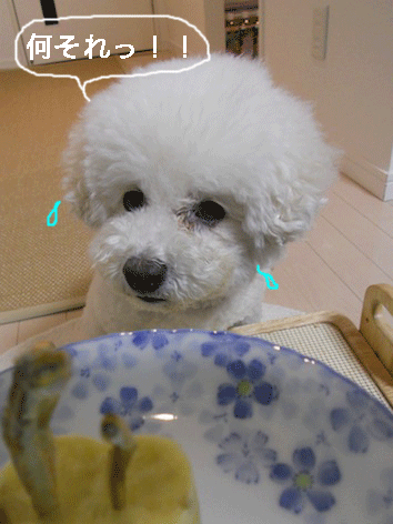DSCN3668.gif