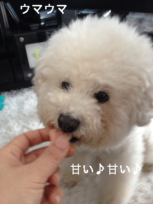 IMG_1464.gif