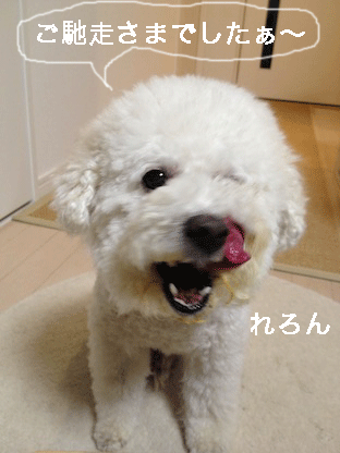 IMG_1932.gif
