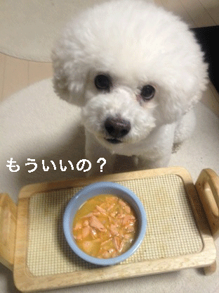 IMG_2481.gif