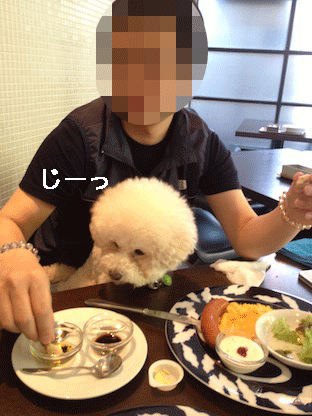 IMG_3437.gif