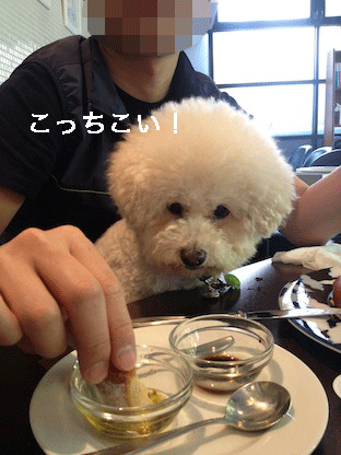 IMG_3438.gif