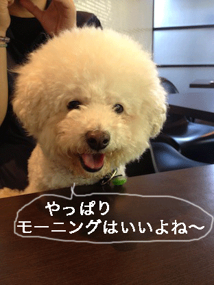 IMG_3442.gif