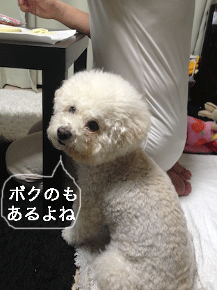 IMG_3447.gif