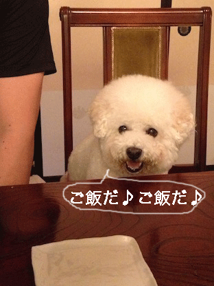 IMG_4209.gif