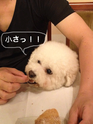 IMG_4215.gif