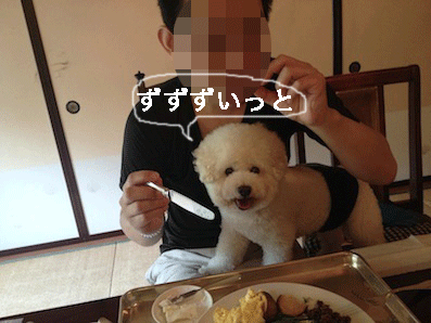 IMG_4233.gif