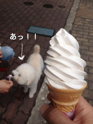 IMG_4243.gif