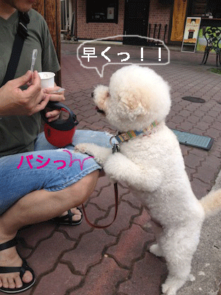 IMG_4245.gif