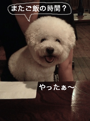 IMG_4254.gif