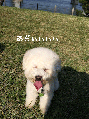 IMG_4641.gif