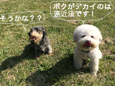 IMG_4643.gif
