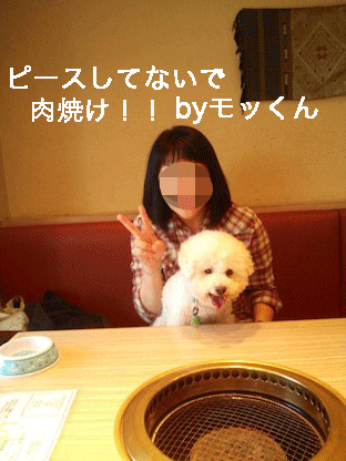 IMG_4660.gif