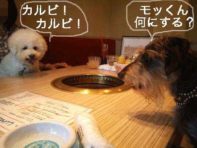 IMG_4665.gif
