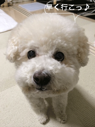 IMG_5393.gif