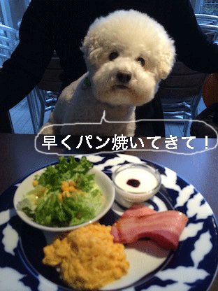IMG_5398.gif