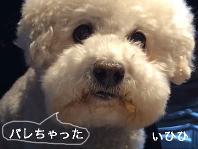 IMG_5402.gif