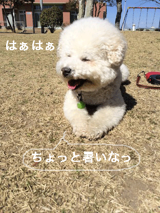 IMG_5424.gif