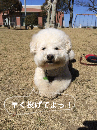 IMG_5425.gif
