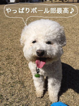 IMG_5432.gif