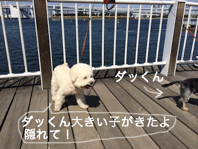 IMG_5439.gif