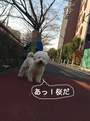 IMG_5496.gif