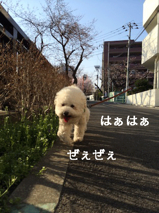 IMG_5501.gif
