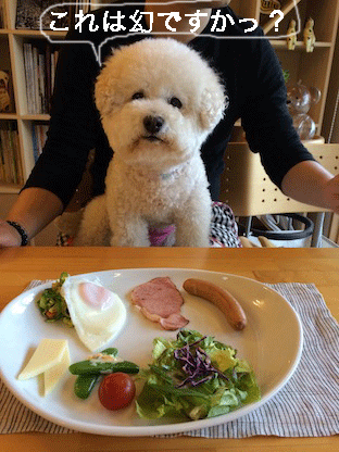 IMG_5743.gif