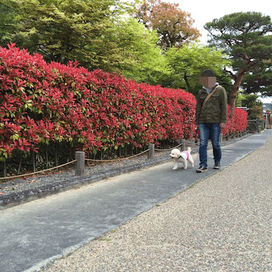 IMG_5759.gif