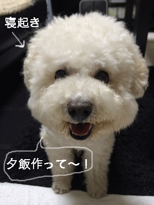 IMG_6013.gif