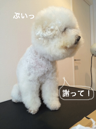 IMG_6180.gif