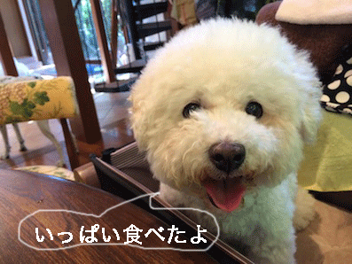 IMG_6268.gif