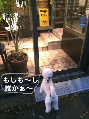 IMG_6587.gif