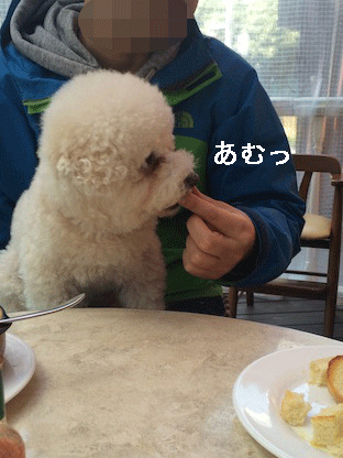 IMG_7460.gif