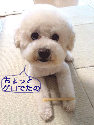 IMG_7848.gif