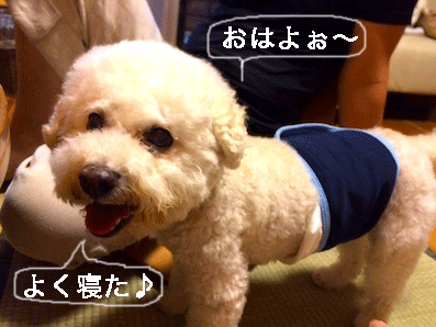 IMG_7916.gif