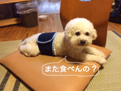 IMG_7921.gif