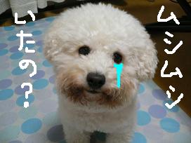 コピー 〜 画像 1335.jpg