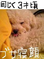 画像1047.jpg